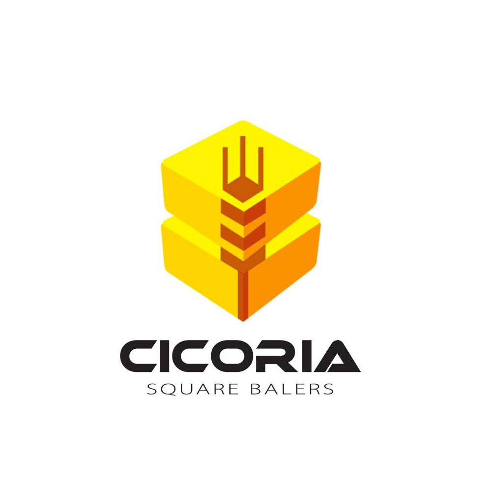 CICORIA 