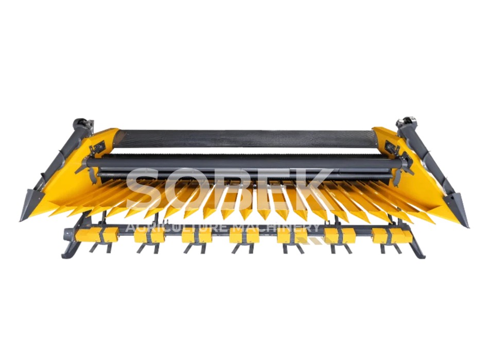 Sunflower H