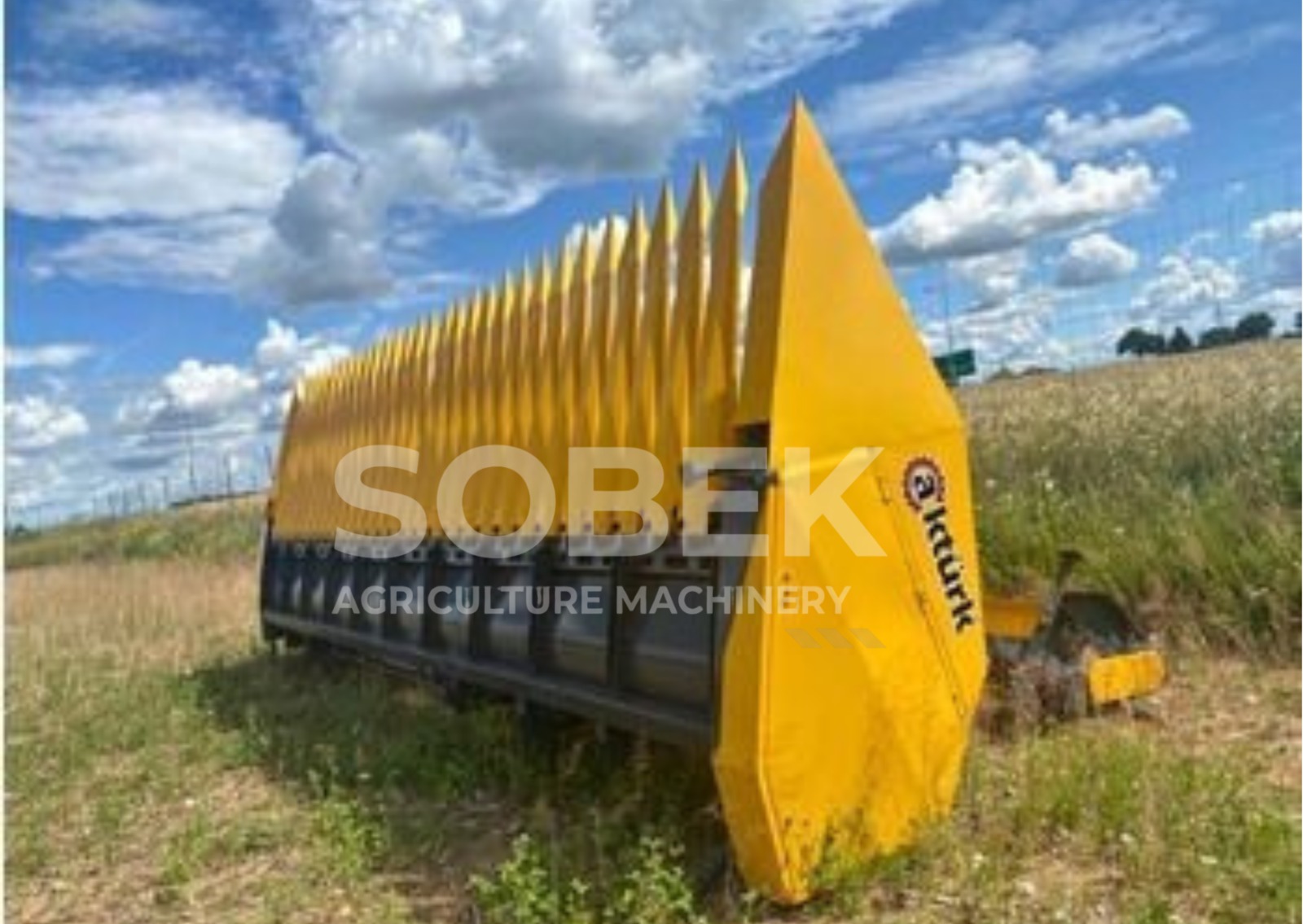 Sunflower H