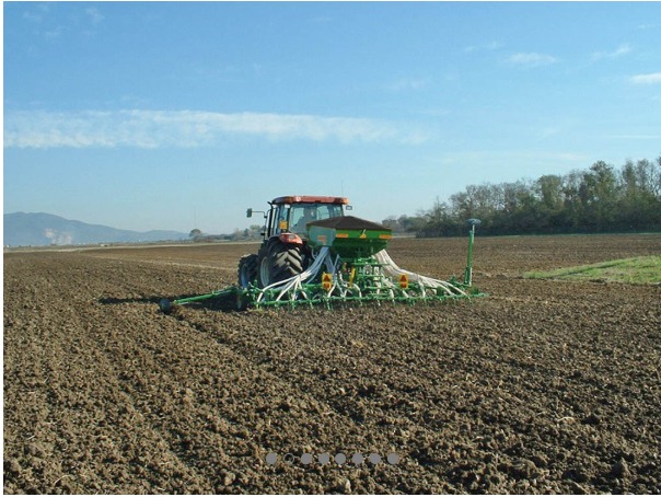 Pneumatic Seed 